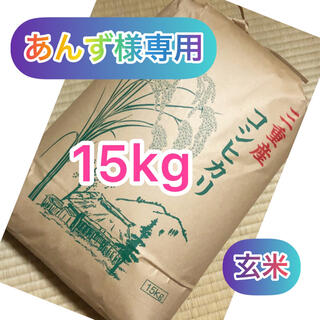 令和3年 三重県伊勢志摩産コシヒカリ【玄米15kg】(米/穀物)