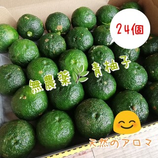 【無農薬】青柚子　約24個(野菜)