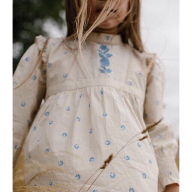 apolina Janis dress 肩フリル 刺繍ワンピース(5-7Y) | casaronald.org.mx