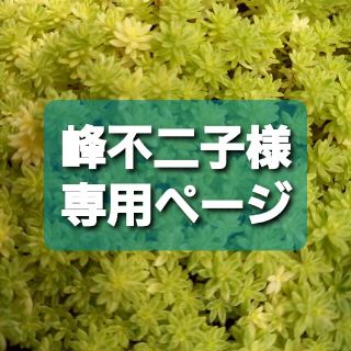 峰不二子様専用ページ(その他)