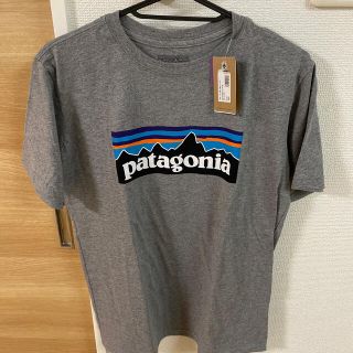 パタゴニア(patagonia)のパタゴニア　Tシャツ(シャツ/ブラウス(半袖/袖なし))