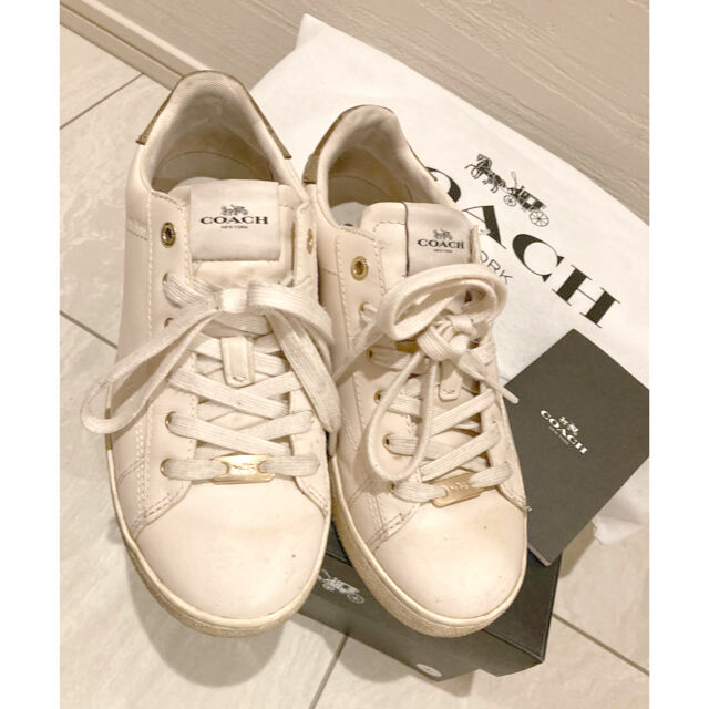 超おすすめ品、COACH、スニーカー、クリーム、靴 www.bayusukses-p.id