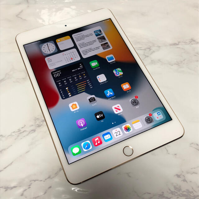 早割クーポン iPad mini4 16GB SIMフリー 管理番号：0960 yatesrealty.com