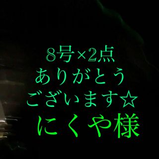 さびき 仕掛け針 2枚◉8号×2点他より太く丈夫な糸 最安値(釣り糸/ライン)