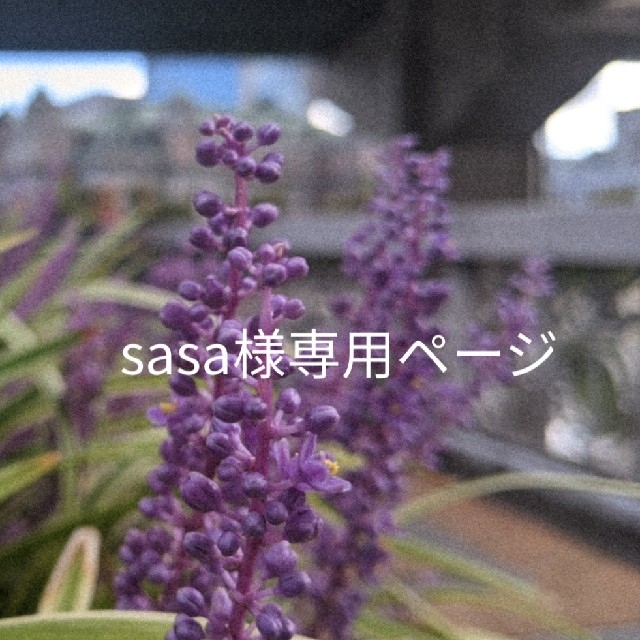 sasa様専用ページの通販 by fheis｜ラクマ