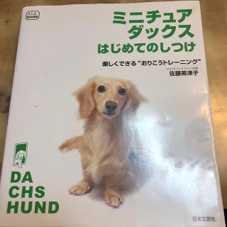 ミニチュア・ダックスはじめてのしつけ(住まい/暮らし/子育て)