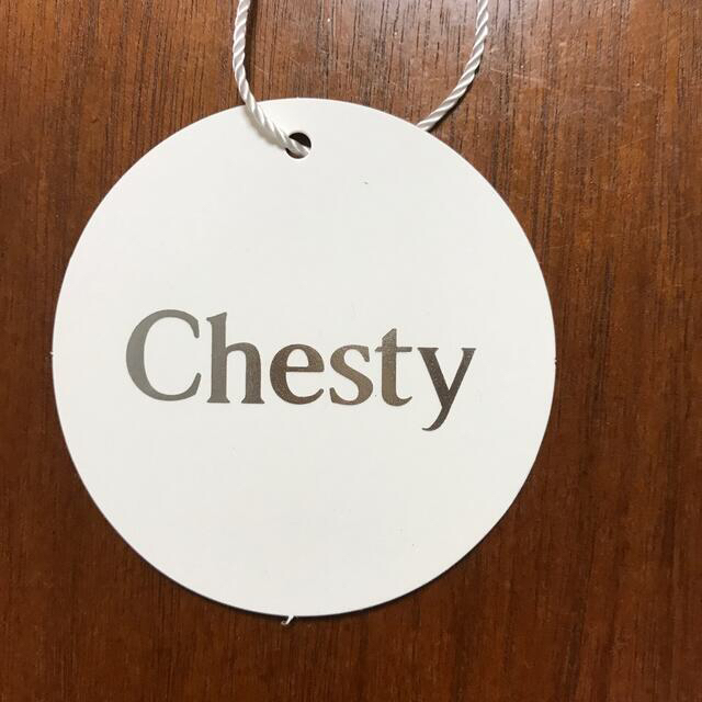 Chesty(チェスティ)のchesty チェックプリーツスカート　ブルー　01 レディースのスカート(ひざ丈スカート)の商品写真