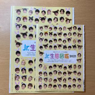 Myojo 11月号 ジャニーズJr.(アイドルグッズ)