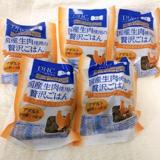 ディーエイチシー(DHC)の＊ぴーかー様専用＊ 国産生肉使用の贅沢ごはん やわらかタイプ チキン アダルト (ペットフード)