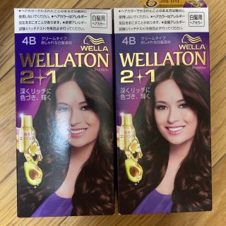 ウエラ(WELLA)のウエラトーン ツープラスワン クリームタイプ 4B 4個(白髪染め)