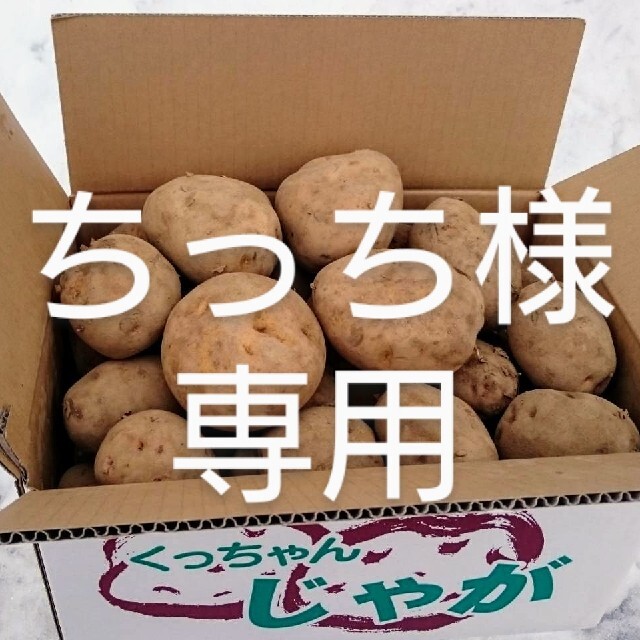 北海道産　じゃが芋・玉ねぎセット　規格外品20キロ 食品/飲料/酒の食品(野菜)の商品写真