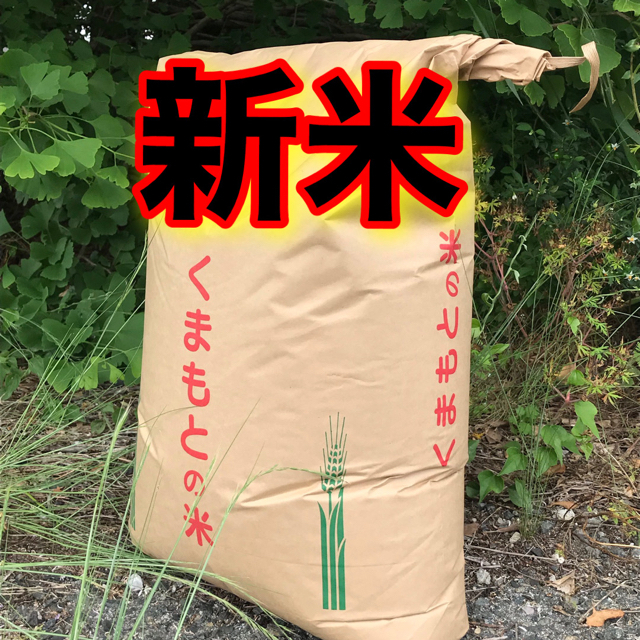 食品/飲料/酒米20Kg送料無料（全国対応）熊本県産　新米