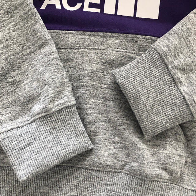 THE NORTH FACE(ザノースフェイス)のTHE NORTH FACEスウェットロゴフーディー100cm キッズ/ベビー/マタニティのキッズ服男の子用(90cm~)(Tシャツ/カットソー)の商品写真