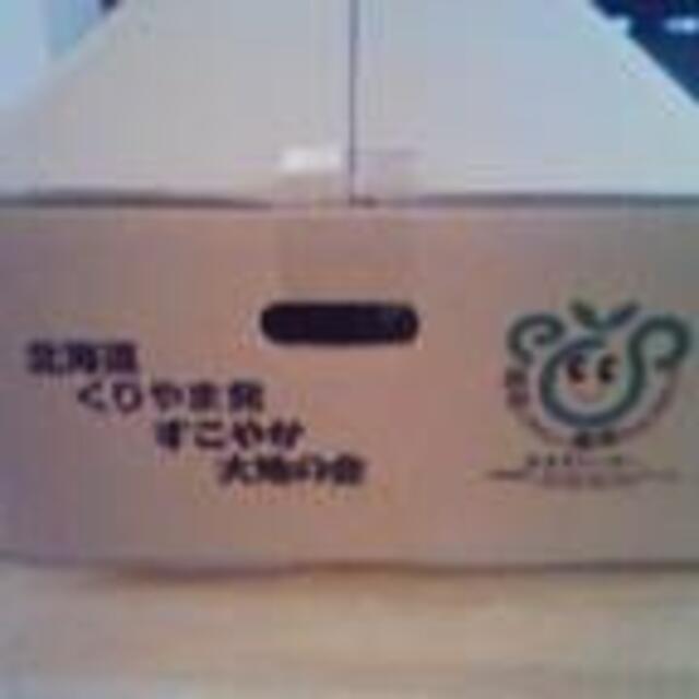 北海道産玉ねぎ Lサイズ10kg 食品/飲料/酒の食品(野菜)の商品写真