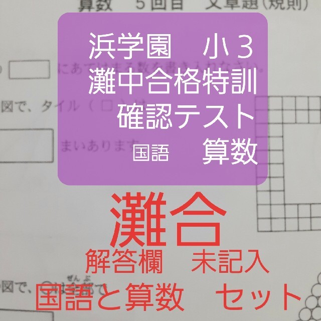 浜学園　小３　灘中合格特訓　確認テスト　国語算数　セット　灘合　一年分