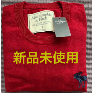 アバクロンビーアンドフィッチ(Abercrombie&Fitch)の新品 本物 アバクロ薄手　秋ニット　ビックムース刺繍セーター ニット(ニット/セーター)