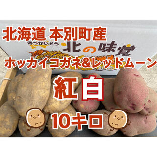 北海道本別町産 紅白じゃがいも ホッカイコガネ&レッドムーン 計10キロ(野菜)