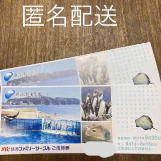 新江ノ島水族館　招待券2枚  ペア(水族館)