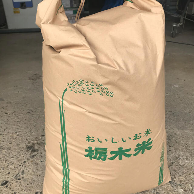 【R3年度新米・玄米60kg】栃木県の指定優良農地で採れたブランド米コシヒカリ