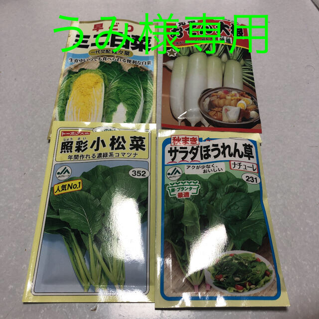 うみ様専用今が植え時！バラ売り種　組合せ自由　300円〜 ハンドメイドのフラワー/ガーデン(その他)の商品写真