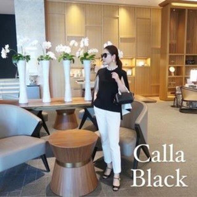 SATOKA　サトカ　calla　Black　【試着のみ】 レディースのトップス(シャツ/ブラウス(長袖/七分))の商品写真