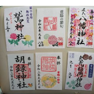 東京都　神社の重陽の節句御朱印10点(その他)