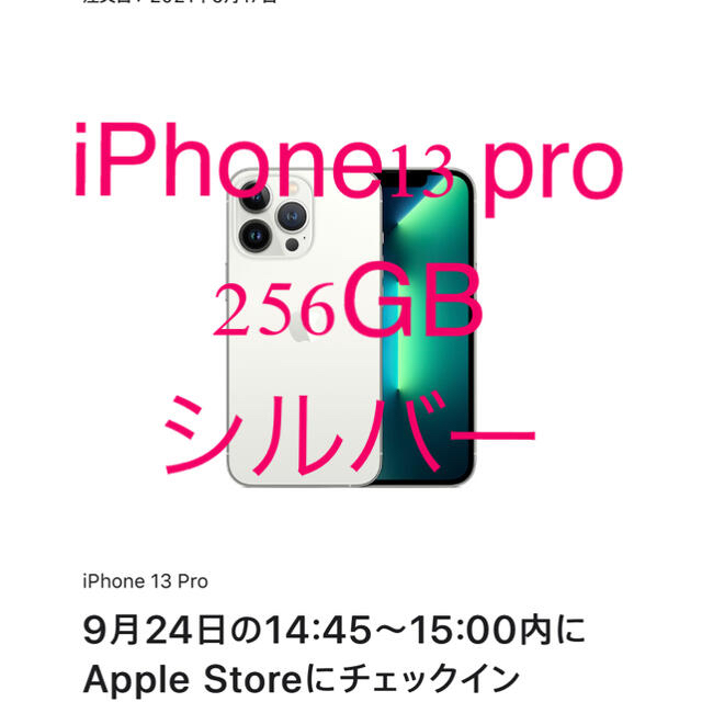 Apple(アップル)のiPhone13 pro シルバー　256GB SIMフリー スマホ/家電/カメラのスマートフォン/携帯電話(スマートフォン本体)の商品写真