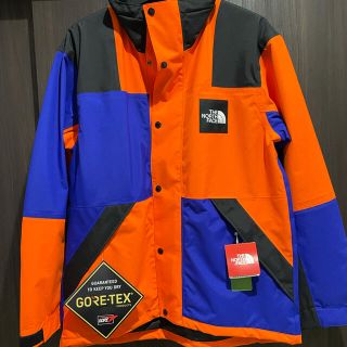 ザノースフェイス(THE NORTH FACE)の商品名：THE NORTH FACE RAGE GTX Shell Jackt (マウンテンパーカー)