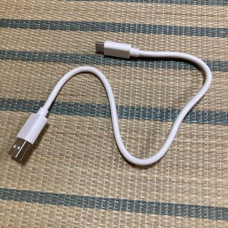 タイプC  USB 充電ケーブル　(その他)