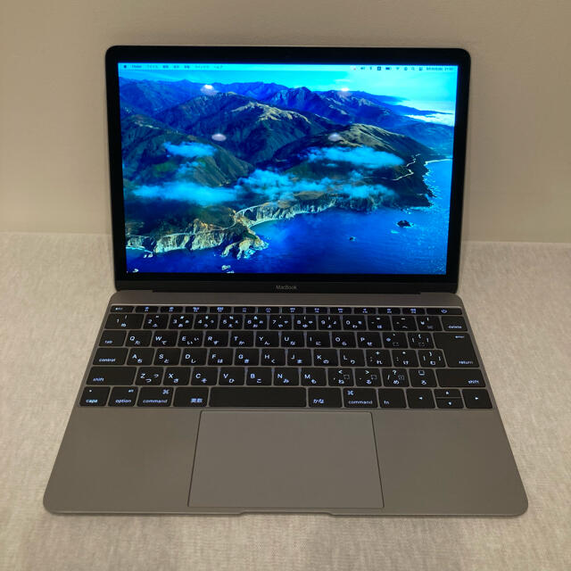 【美品】Apple MacBook 12インチ Early 2015256GBディスプレイ