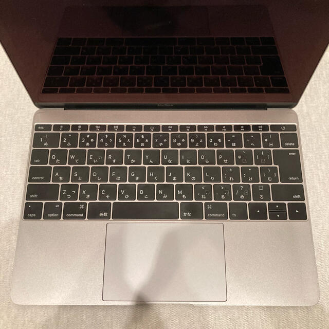 【美品】Apple MacBook 12インチ Early 2015256GBディスプレイ