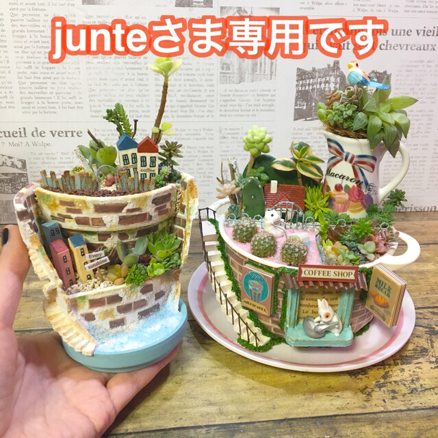 ハンドメイド多肉植物の寄せ植え　割れ鉢タイプ