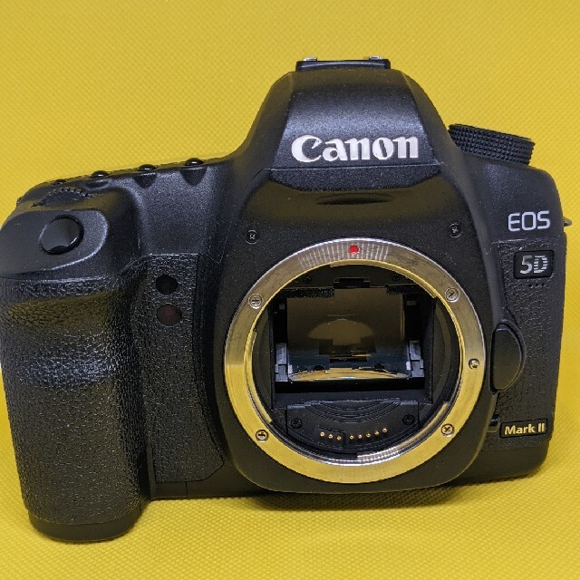 Canon EOS 5D MarkⅡ 50mm f1.8