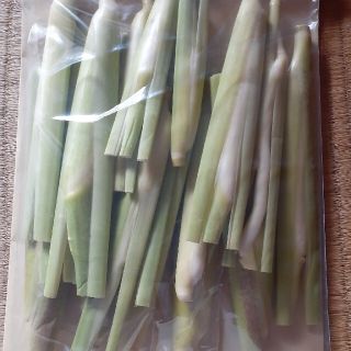 チョメ様専用細くて小さめサイズマコモダケ(野菜)