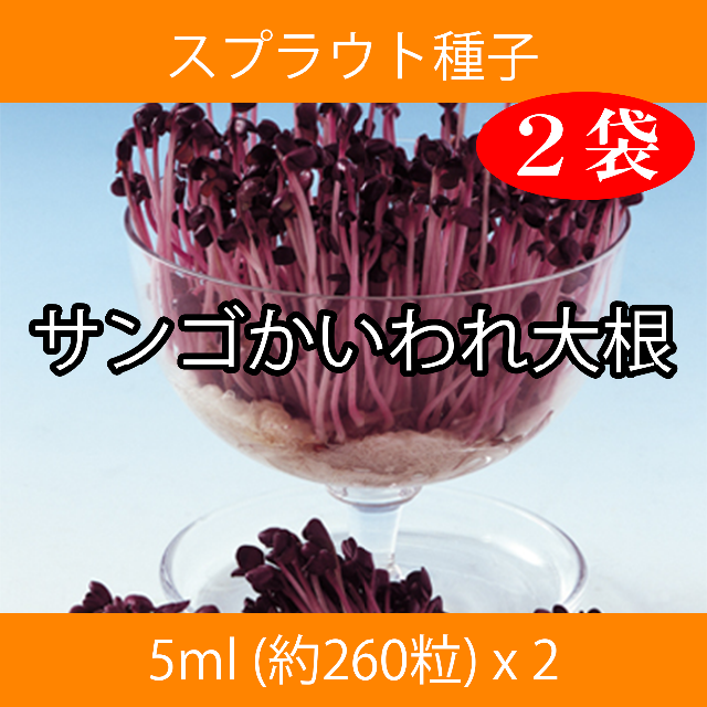 スプラウト種子 S-10 サンゴかいわれ大根 5ml 約260粒 x 2袋 食品/飲料/酒の食品(野菜)の商品写真