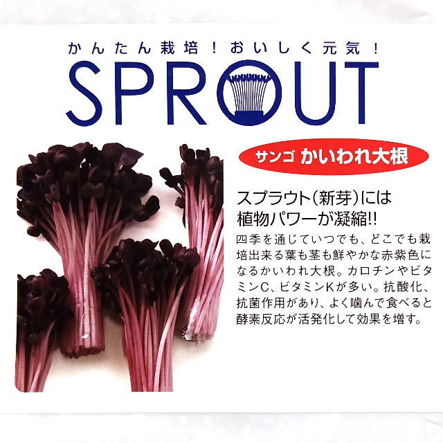 スプラウト種子 S-10 サンゴかいわれ大根 5ml 約260粒 x 2袋 食品/飲料/酒の食品(野菜)の商品写真