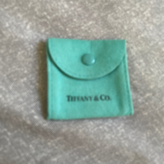 Tiffany & Co.(ティファニー)のティファニーシルバーネックレス⭐︎ レディースのアクセサリー(ネックレス)の商品写真