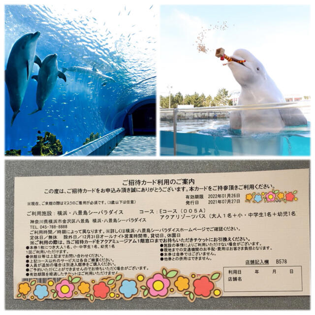 八景島シーパラダイス 招待券 チケットの施設利用券(水族館)の商品写真