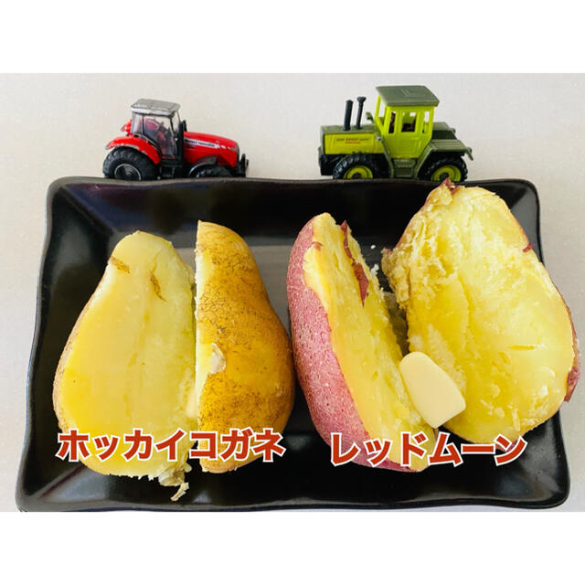 北海道本別町産 紅白じゃがいも ホッカイコガネ&レッドムーン 計20キロ 食品/飲料/酒の食品(野菜)の商品写真