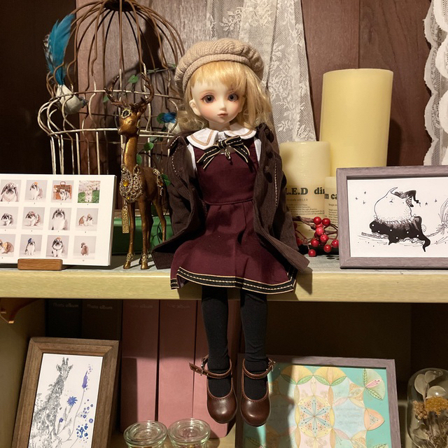 ボークス 白蓮✨✨2020 www.krzysztofbialy.com