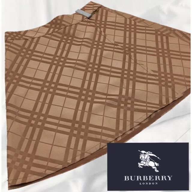 BURBERRY BLUE LABEL(バーバリーブルーレーベル)の【入手困難！希少！】バーバリー スカート Burberry レディースのスカート(ひざ丈スカート)の商品写真