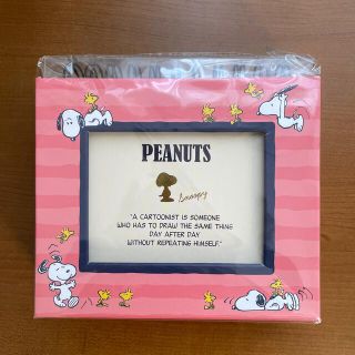 ピーナッツ(PEANUTS)のフレームケースポケットアルバム　SNOOPY(アルバム)