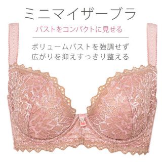 ブラデリスニューヨーク(BRADELIS New York)のブラデリス  ミニマイザーブラ&タンガセット(ブラ&ショーツセット)