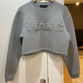 アレキサンダーワン(Alexander Wang)のa様専用　alexanderwang × H&M  未使用　Sサイズ(トレーナー/スウェット)