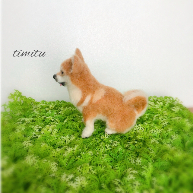 羊毛フェルト 柴犬 ミニサイズ timitu