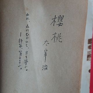 人間失格 桜桃(文学/小説)