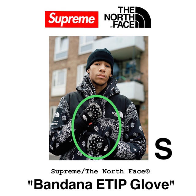 2014AW Supreme/TNF BANDANA ETIP Glove S towinglouisvilleky.com