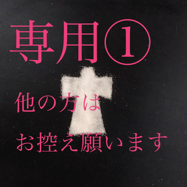 専用①です。他の方は購入しないで下さい