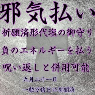 形代塩 御守り 邪気払い 呪い返し 最強 強力 嫉妬 嫌がらせ 不倫 イジメ(その他)