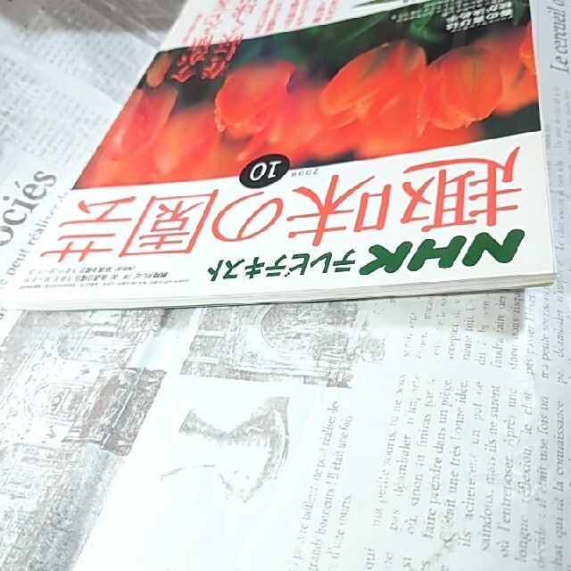 【美品】NHK 趣味の園芸 2008年 10月 今が植えどき春に咲く球根 エンタメ/ホビーの雑誌(専門誌)の商品写真